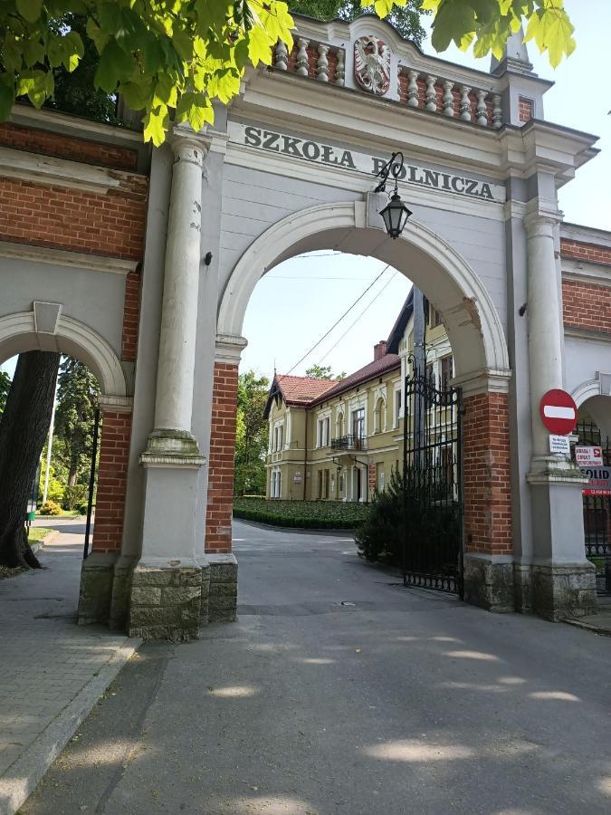 Apartament U Agaty Czernichow Krakow Zator Esterno foto