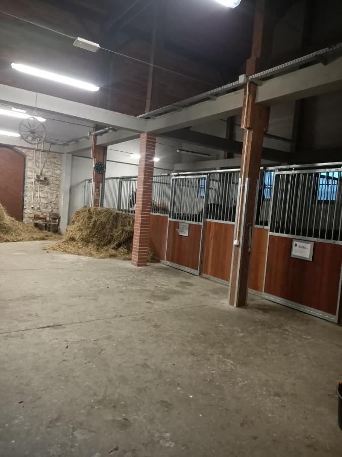 Apartament U Agaty Czernichow Krakow Zator Esterno foto